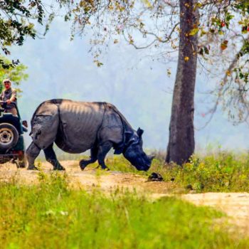 Kaziranga National Park- Best Places to Visit in Assam