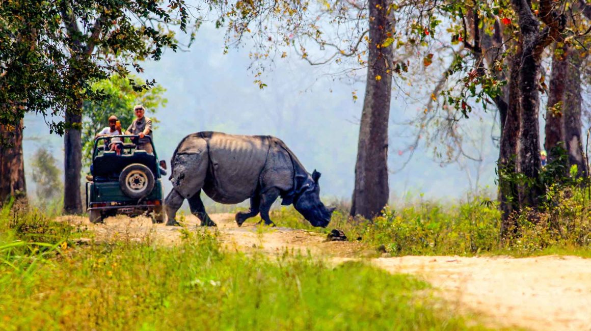 Kaziranga National Park- Best Places to Visit in Assam